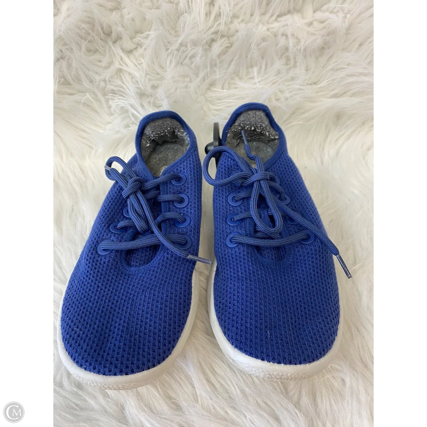 Shoes Athletic By Allbirds In Blue, Size: 10