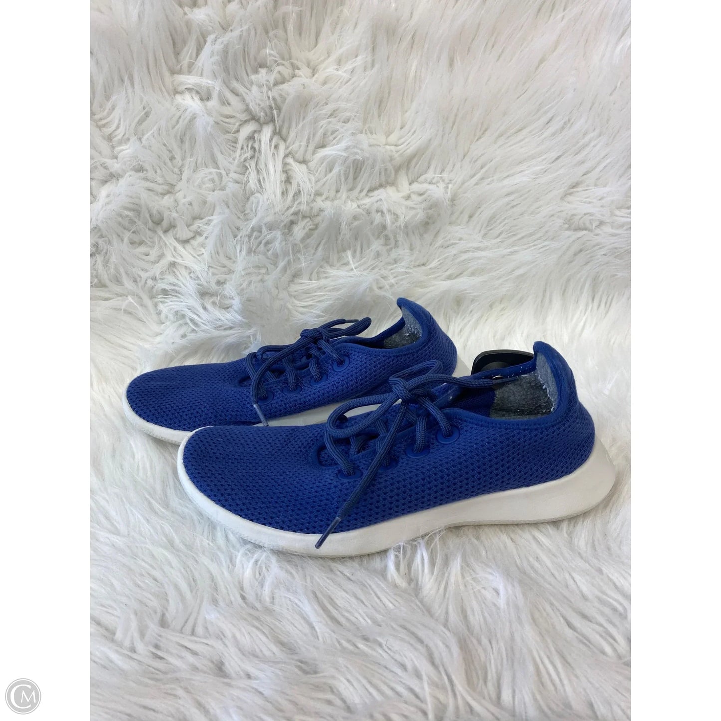 Shoes Athletic By Allbirds In Blue, Size: 10