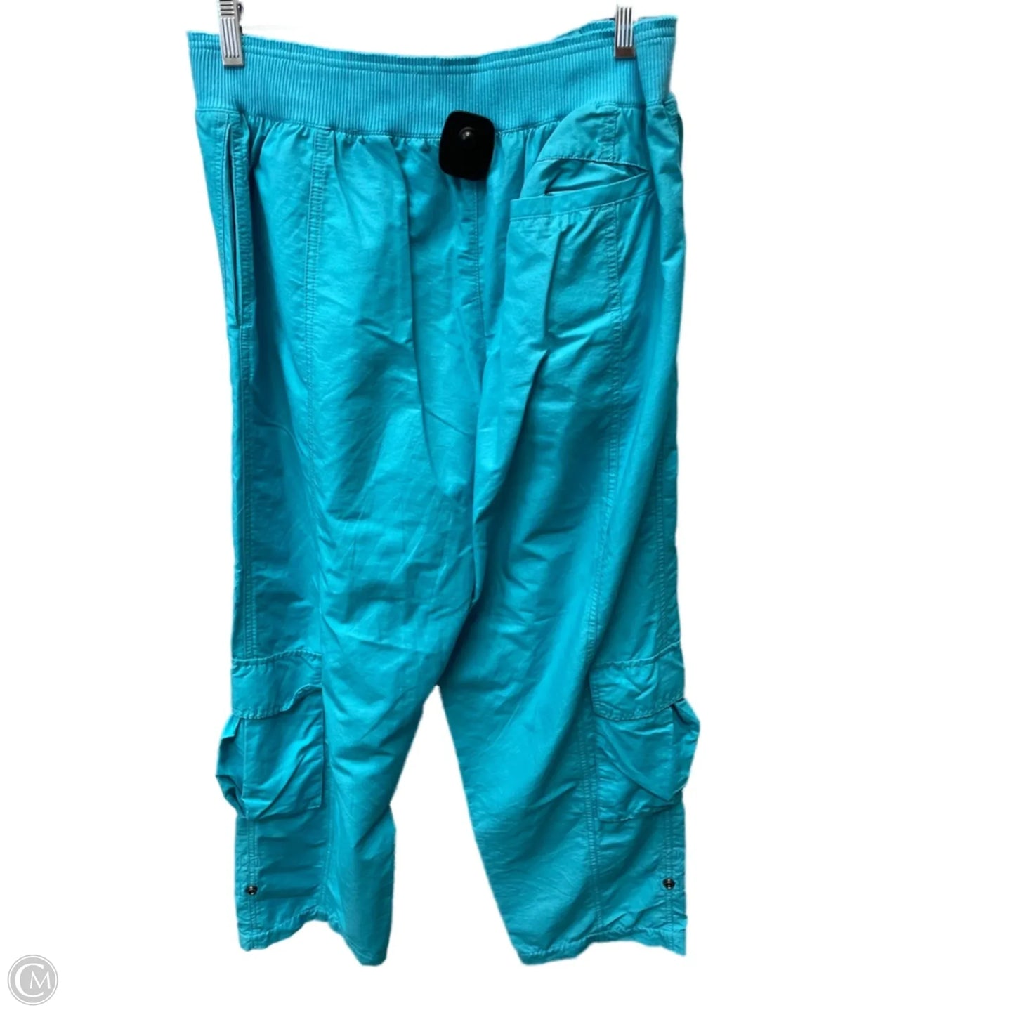 Pants Cargo & Utility By Free People In Blue, Size: 8