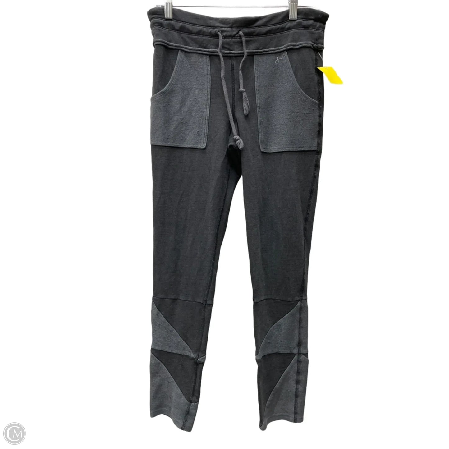 Pants Joggers By Free People In Grey, Size: 10