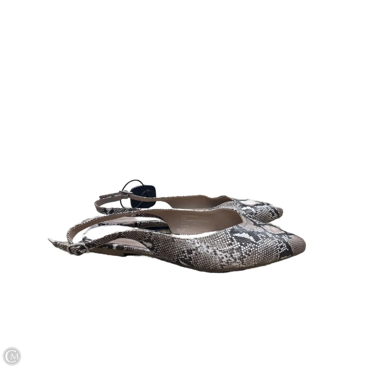 Shoes Flats By Madden Girl In Snakeskin Print, Size: 7.5