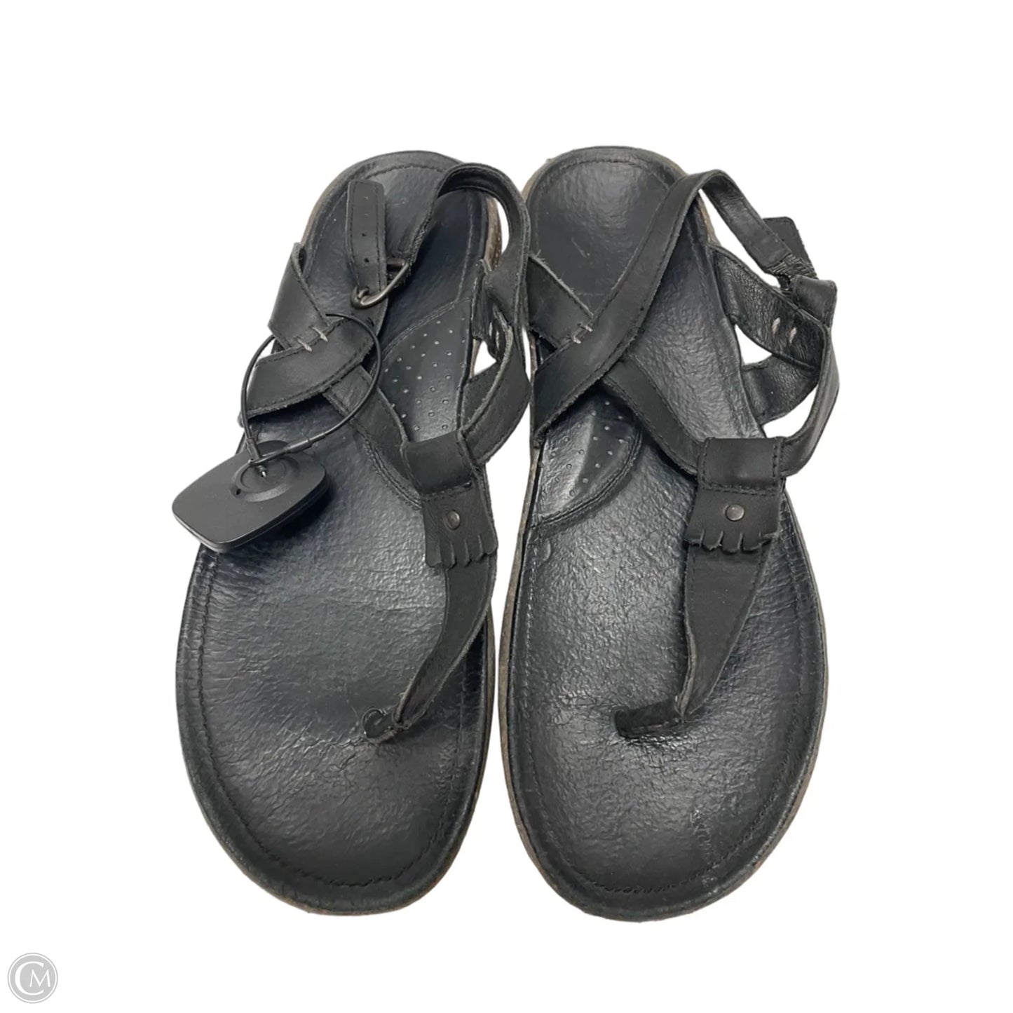 Sandals Flats By Columbia In Black, Size: 10
