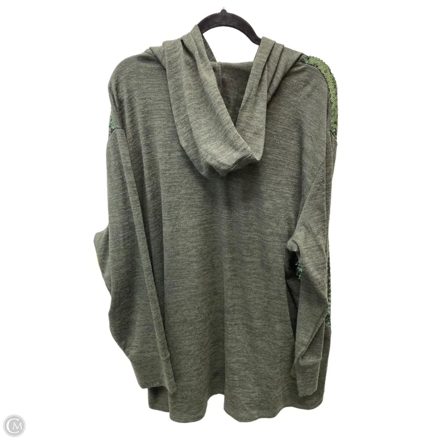 Top Long Sleeve By Colleen Lopez In Grey, Size: 3x