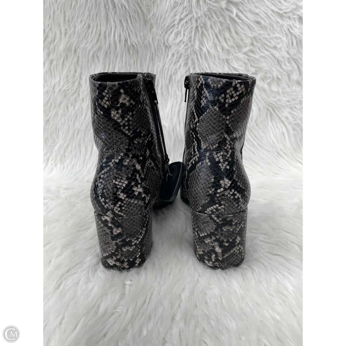 Boots Ankle Heels By Madden Girl In Snakeskin Print, Size: 10