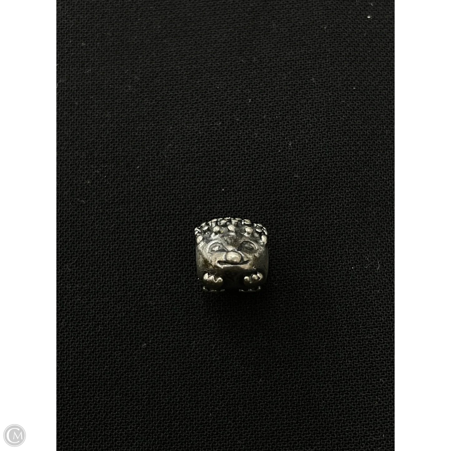 Jewelry Charm By Pandora