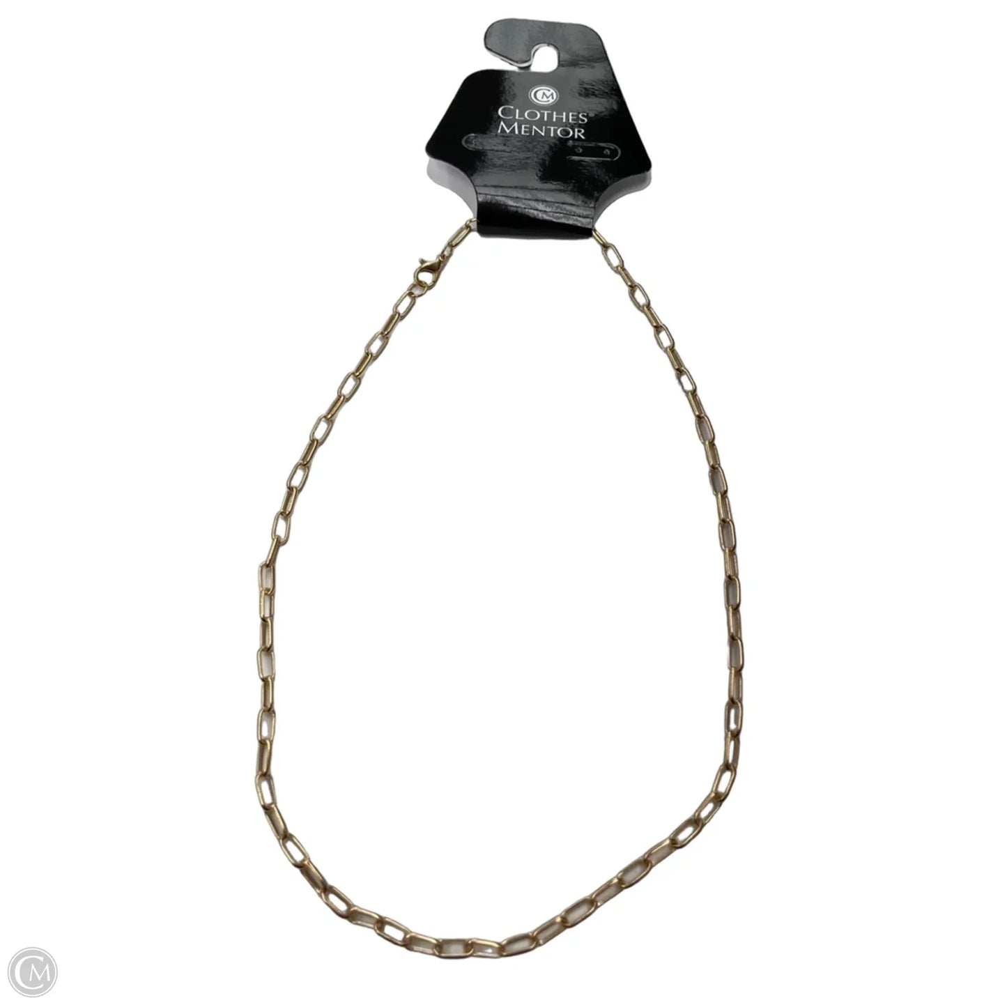 Necklace Chain By Clothes Mentor