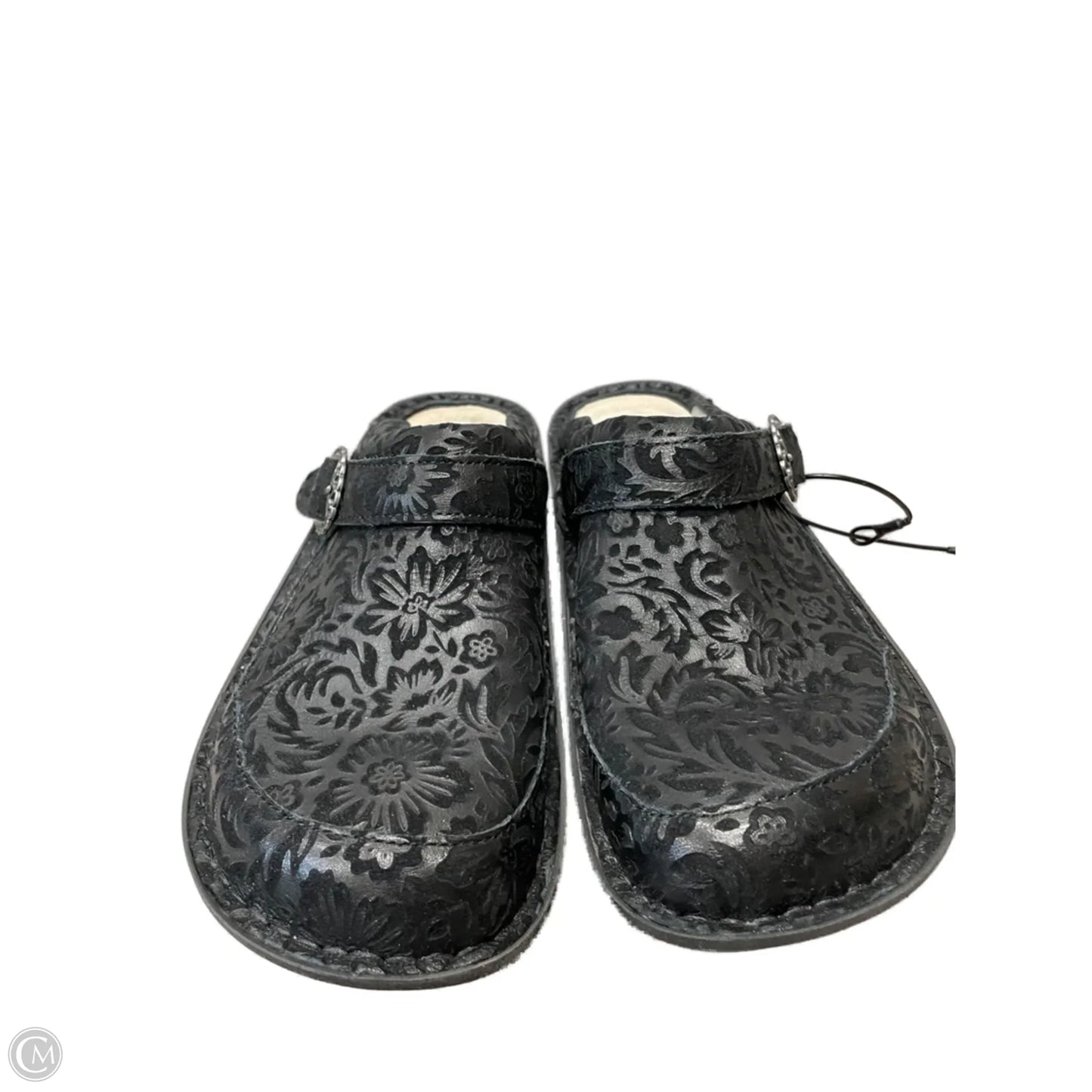 Shoes Flats By Alegria In Floral Print, Size: 8.5