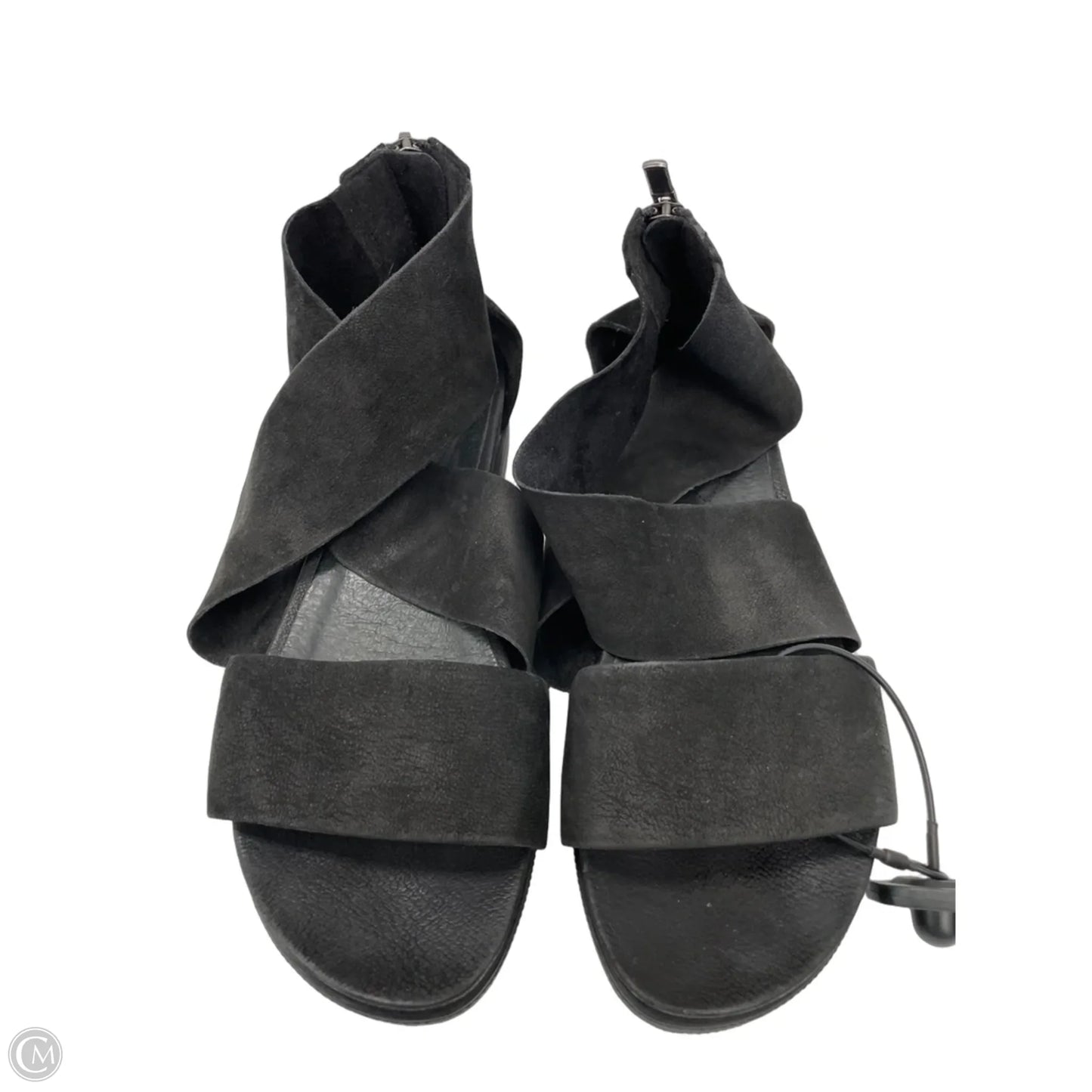Sandals Heels Platform By Eileen Fisher In Black, Size: 8.5