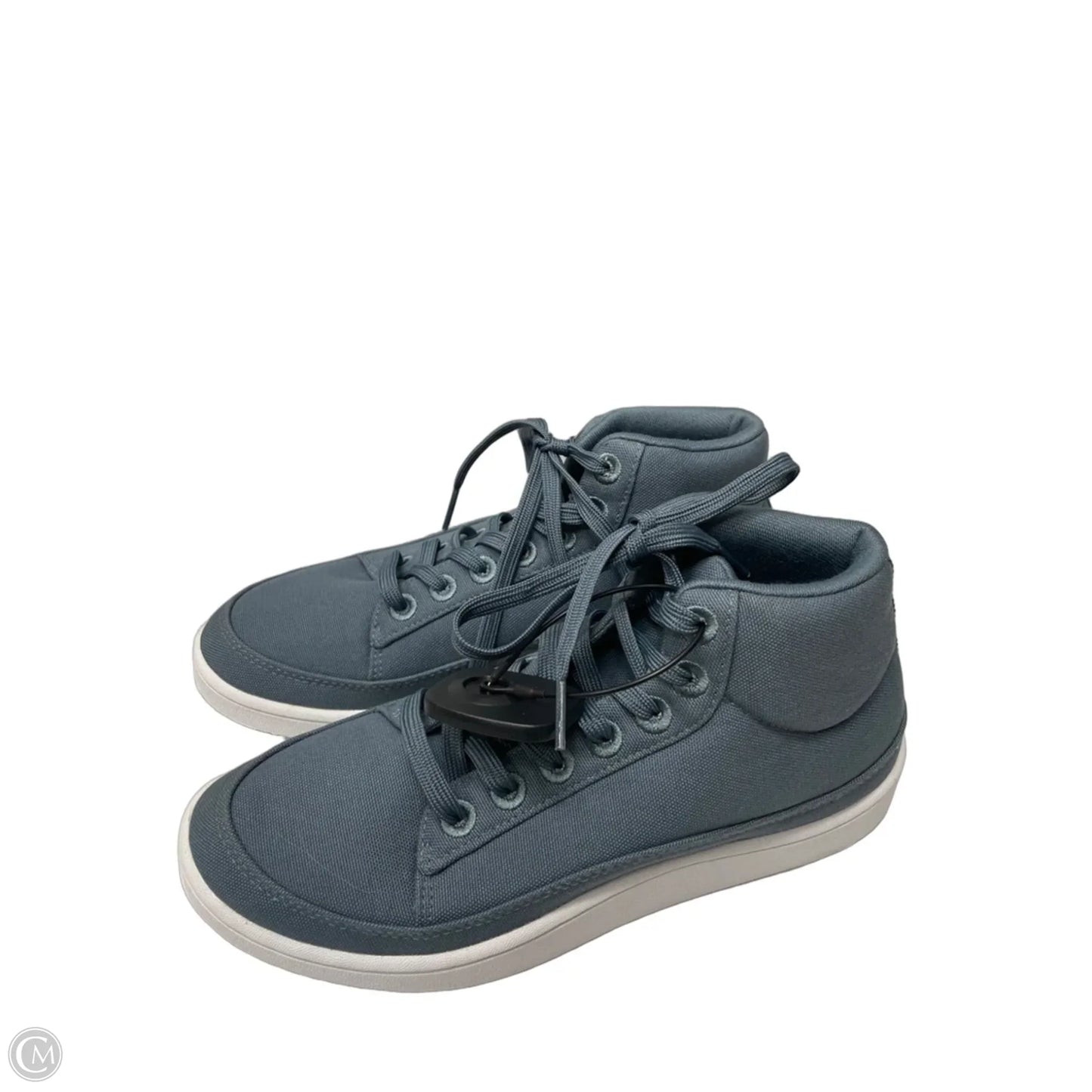 Shoes Sneakers By Allbirds In Blue, Size: 8