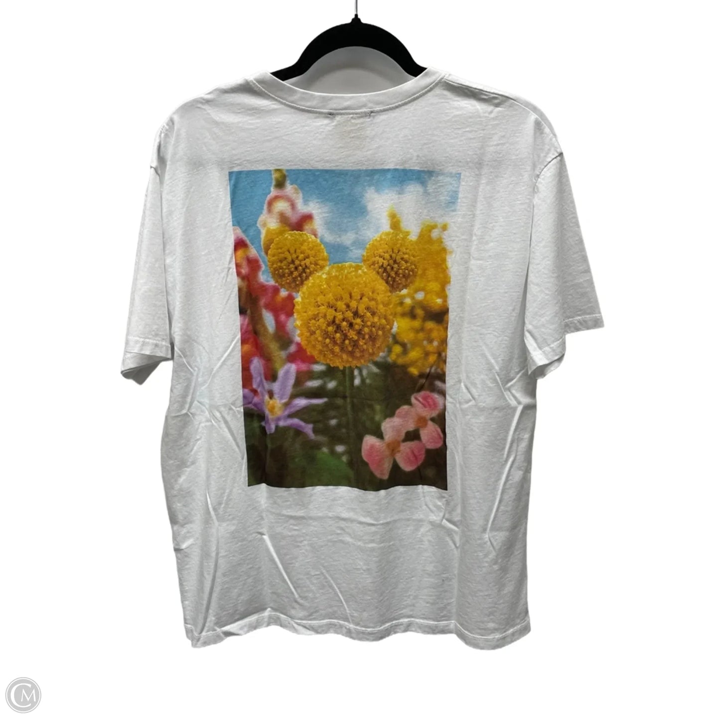 Top Sleeveless By Zara In White, Size: M