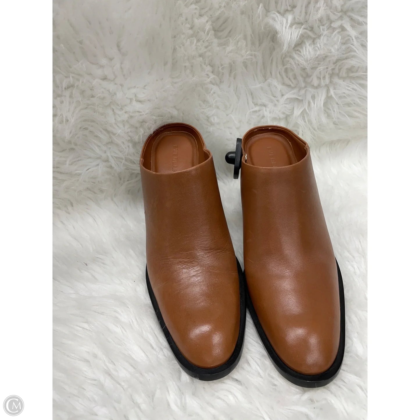 Shoes Heels Block By Everlane In Black & Tan, Size: 8.5