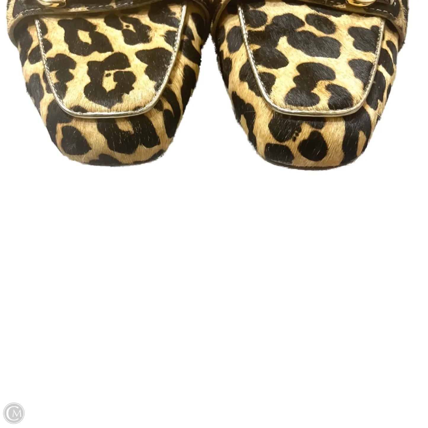 Shoes Designer By Lilly Pulitzer In Leopard Print, Size: 7