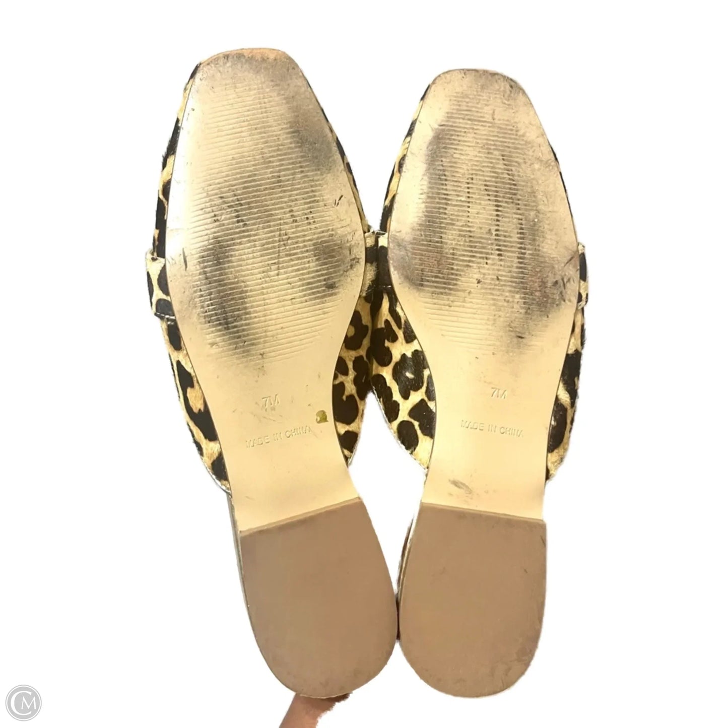 Shoes Designer By Lilly Pulitzer In Leopard Print, Size: 7