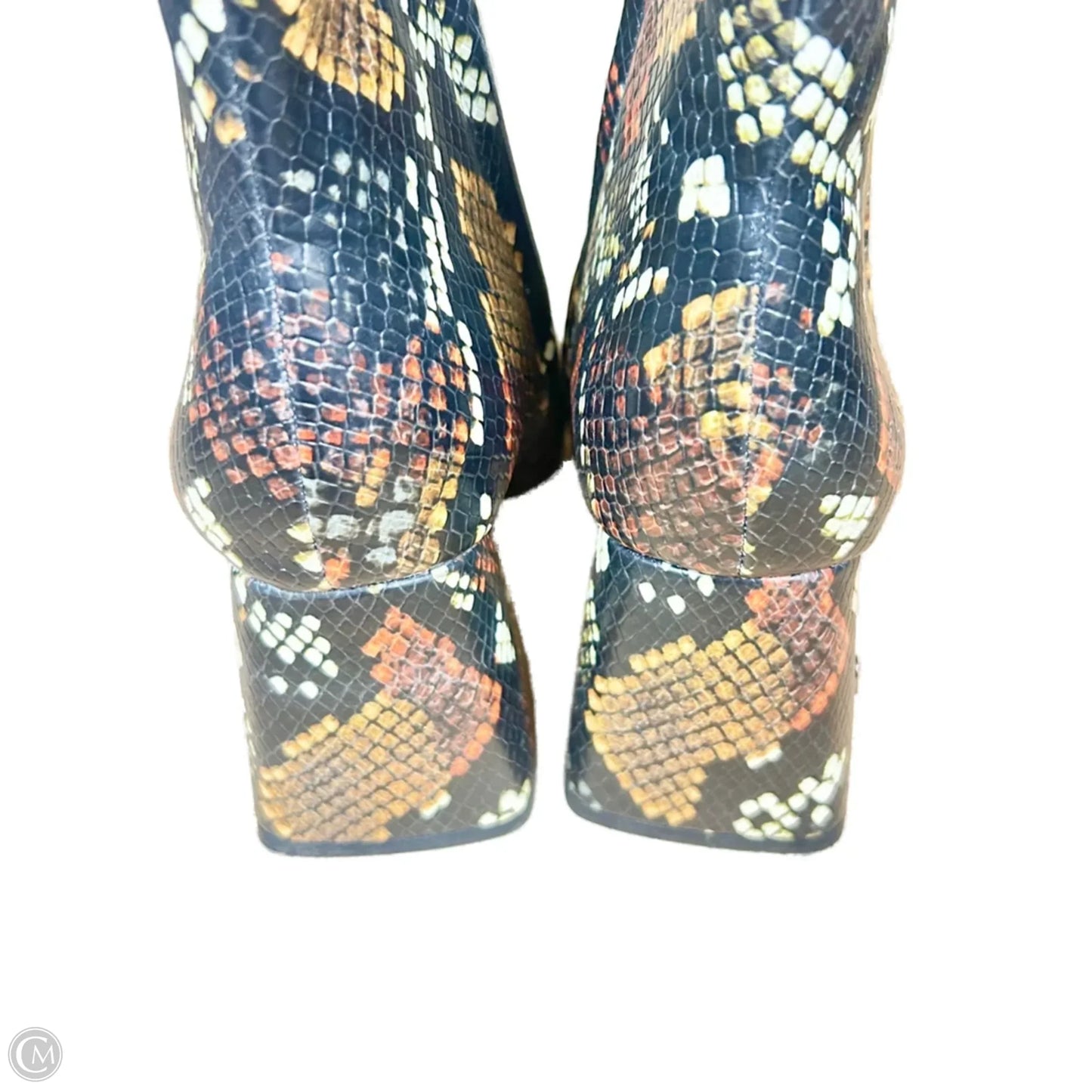 Boots Ankle Heels By Circus By Sam Edelman In Snakeskin Print, Size: 6.5