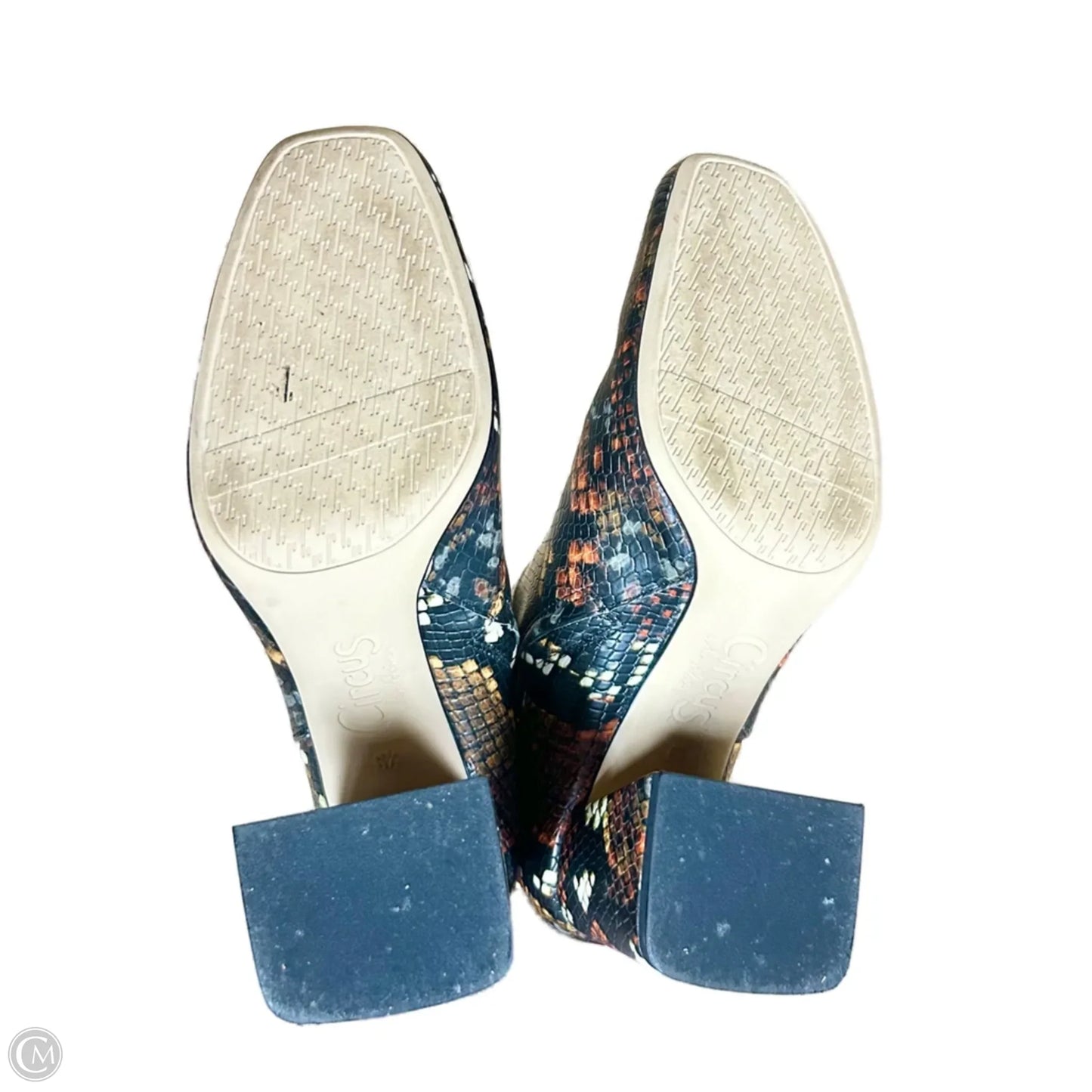 Boots Ankle Heels By Circus By Sam Edelman In Snakeskin Print, Size: 6.5