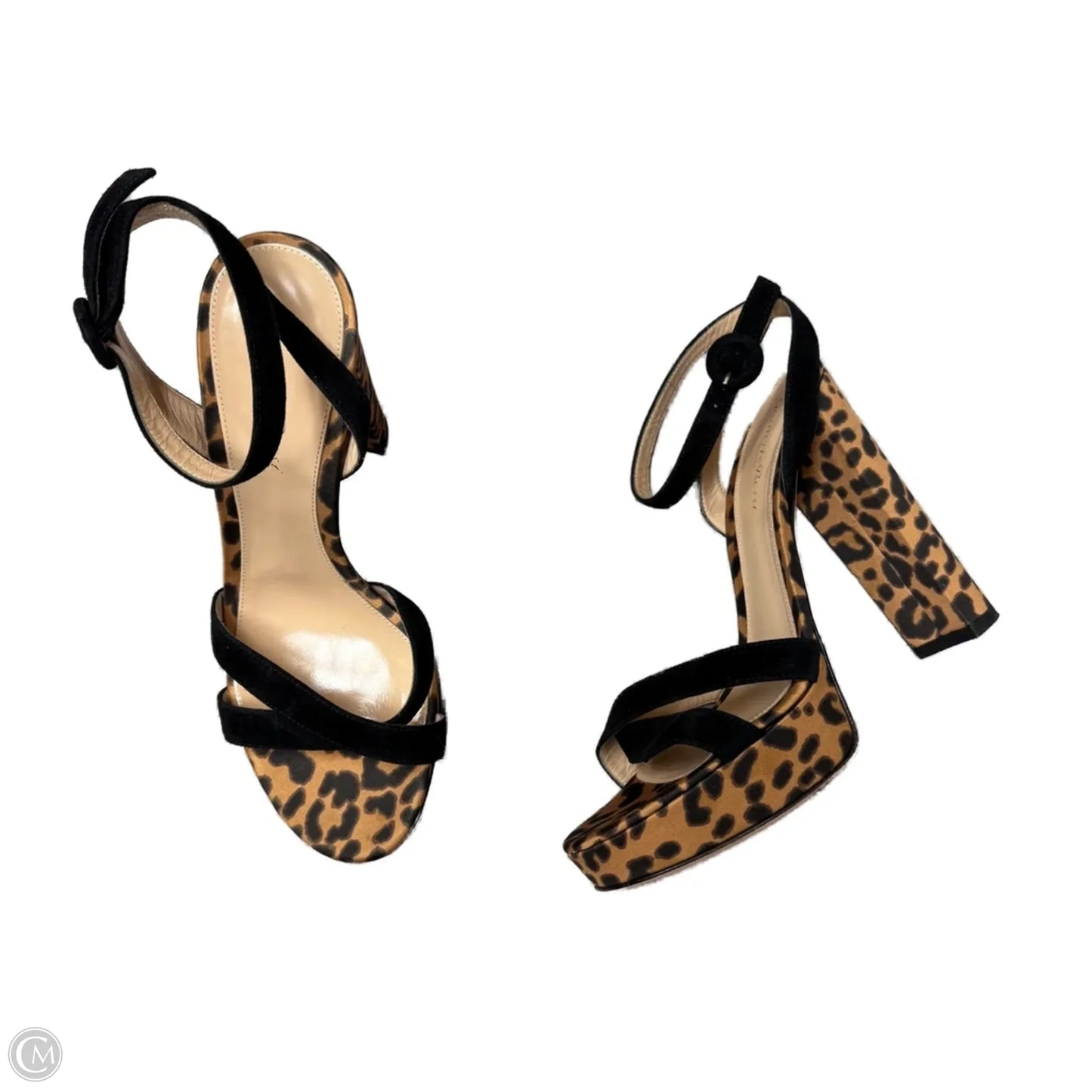 Sandals Heels Block By Gianvito Rossi In Leopard Print, Size: 7.5