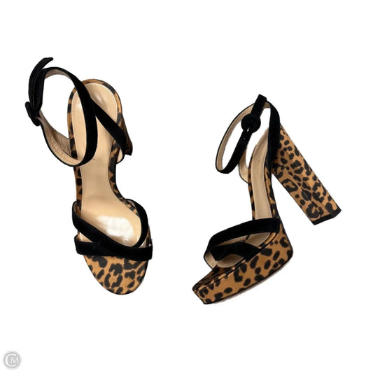 Sandals Heels Block By Gianvito Rossi In Leopard Print, Size: 7.5