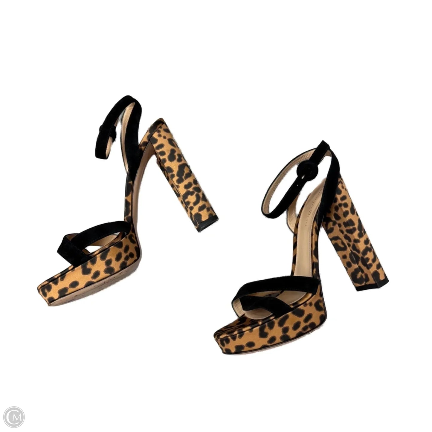 Sandals Heels Block By Gianvito Rossi In Leopard Print, Size: 7.5