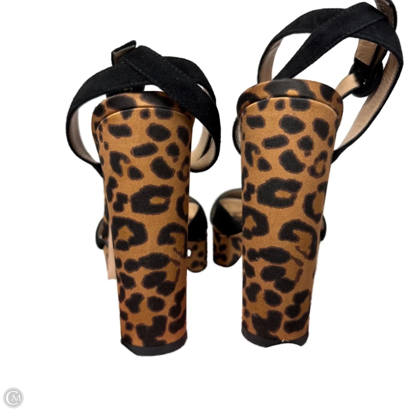 Sandals Heels Block By Gianvito Rossi In Leopard Print, Size: 7.5