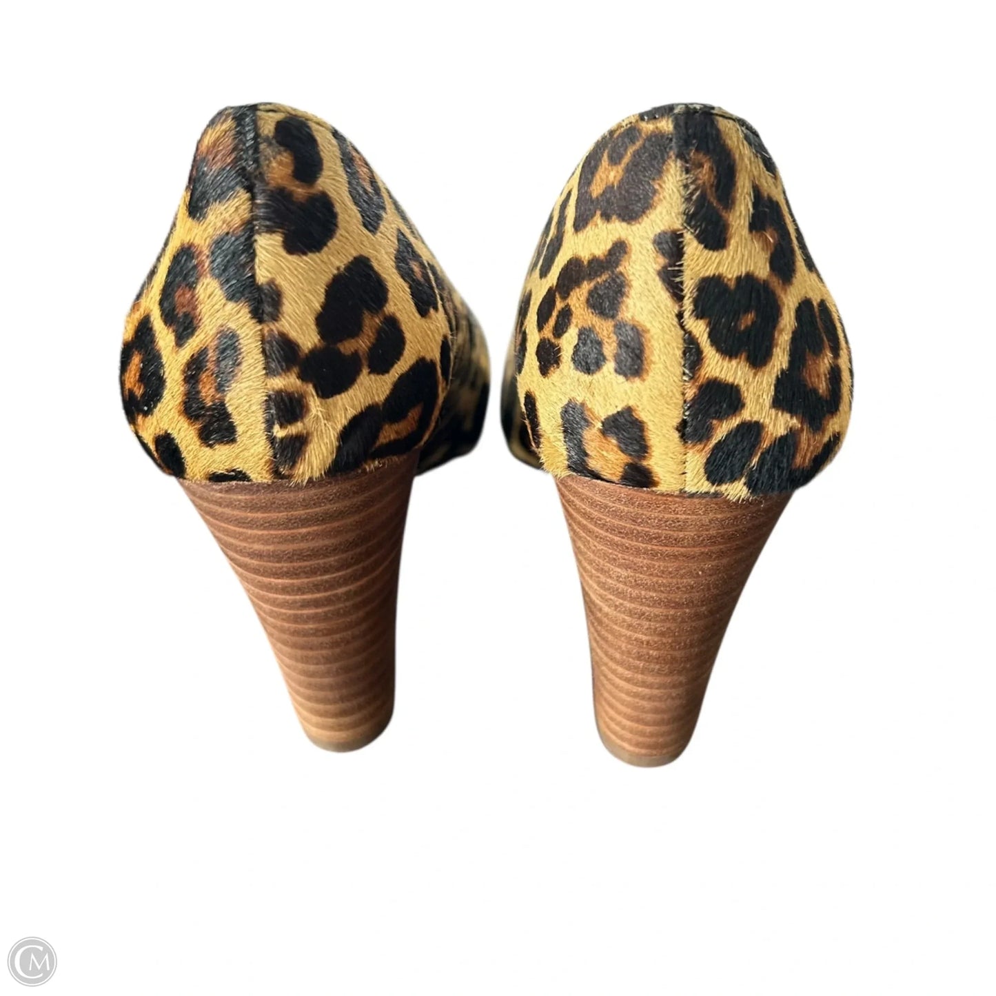 Shoes Heels Block By Crown Vintage In Leopard Print, Size: 7