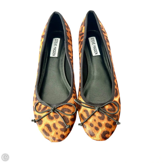 Shoes Heels Block By Steve Madden In Leopard Print, Size: 9