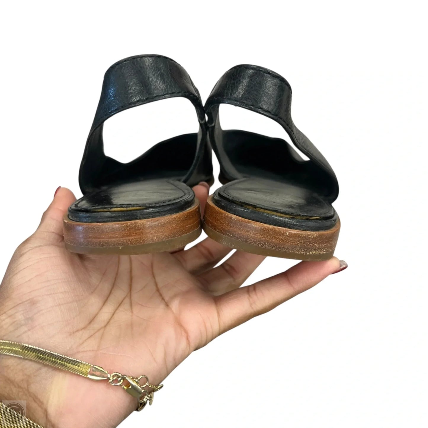 Shoes Designer By Frye In Black, Size: 11