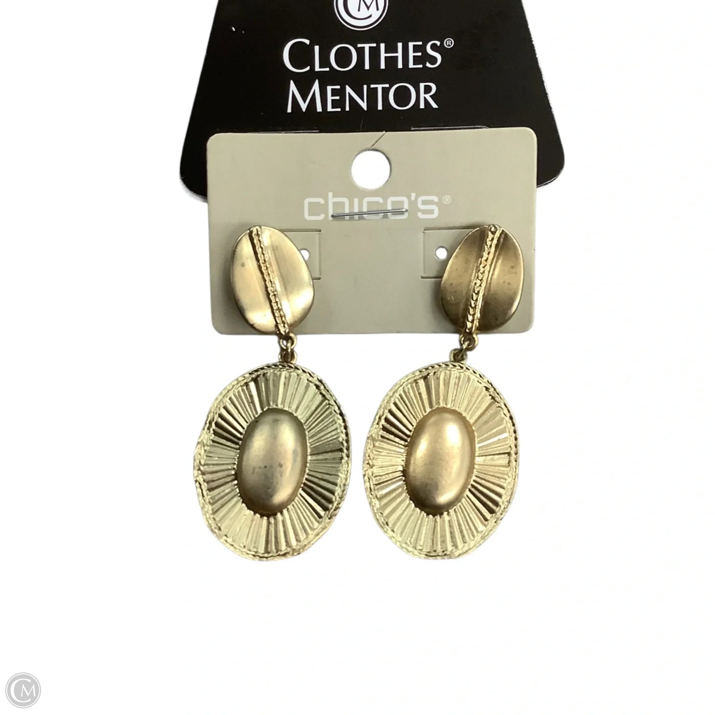 Earrings Dangle/drop By Chicos