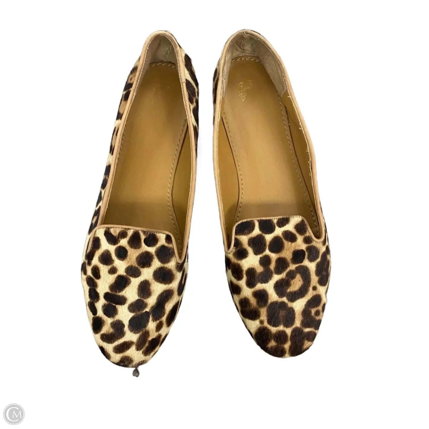 Shoes Flats In Leopard Print, Size: 11