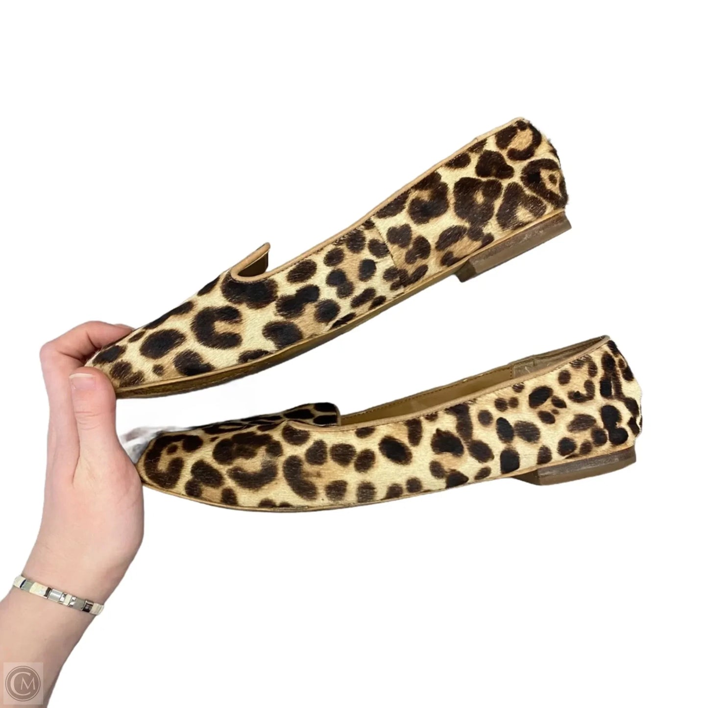 Shoes Flats In Leopard Print, Size: 11