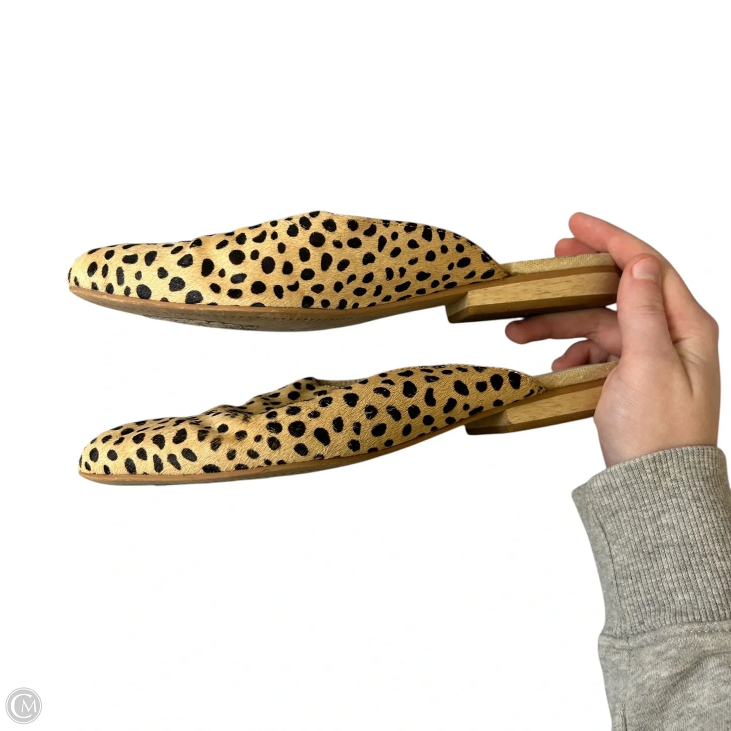 Shoes Flats By Dolce Vita In Leopard Print, Size: 7