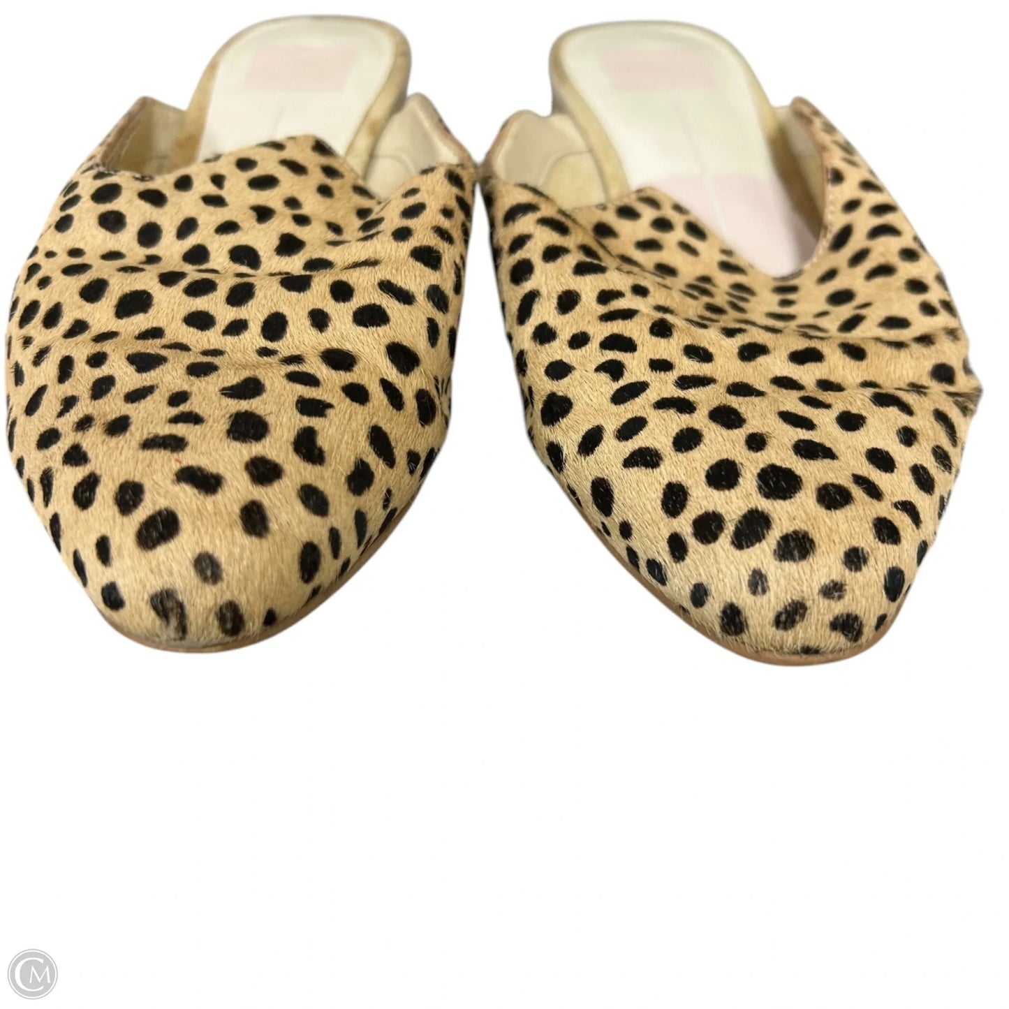 Shoes Flats By Dolce Vita In Leopard Print, Size: 7