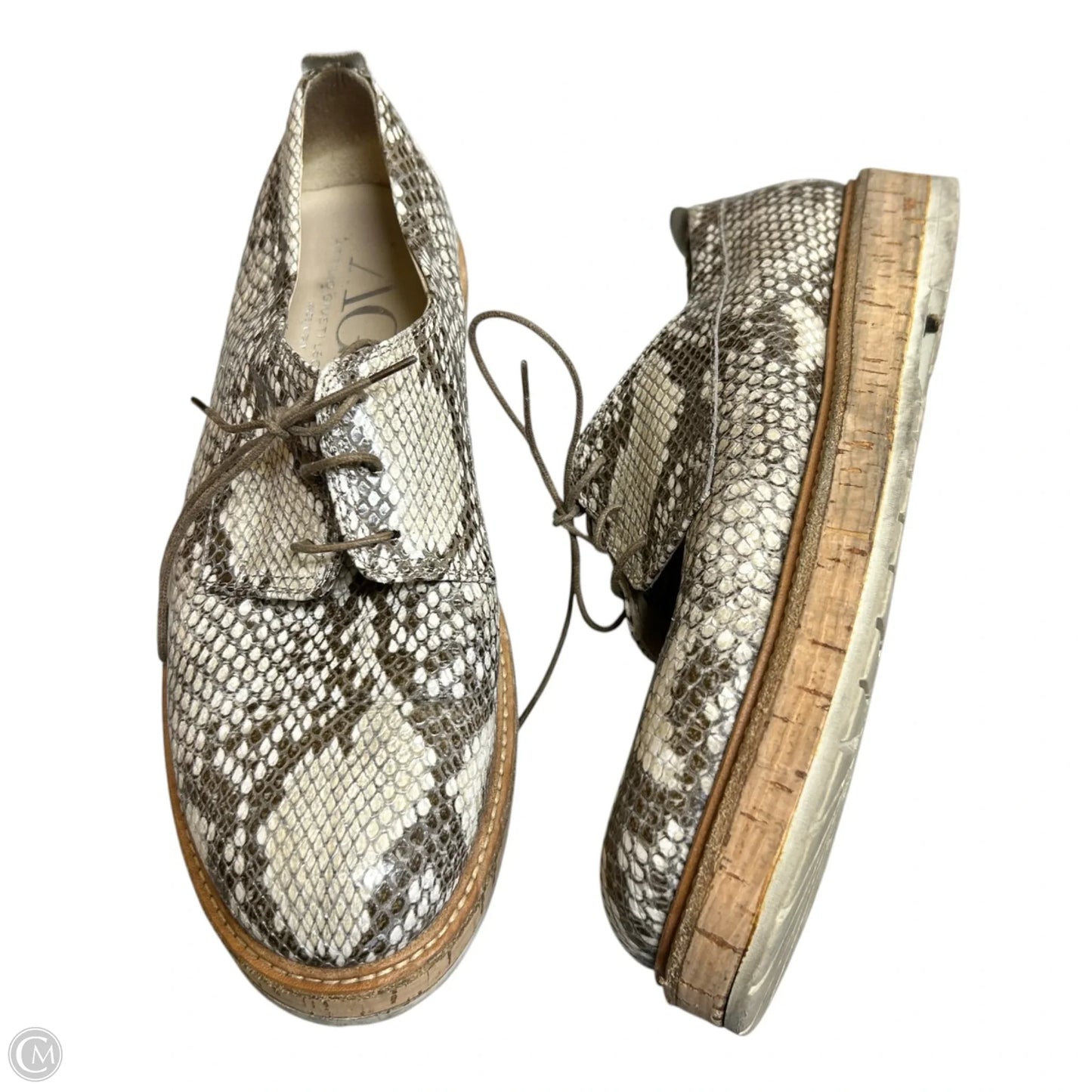 Shoes Heels Platform By Agl In Snakeskin Print, Size: 10.5