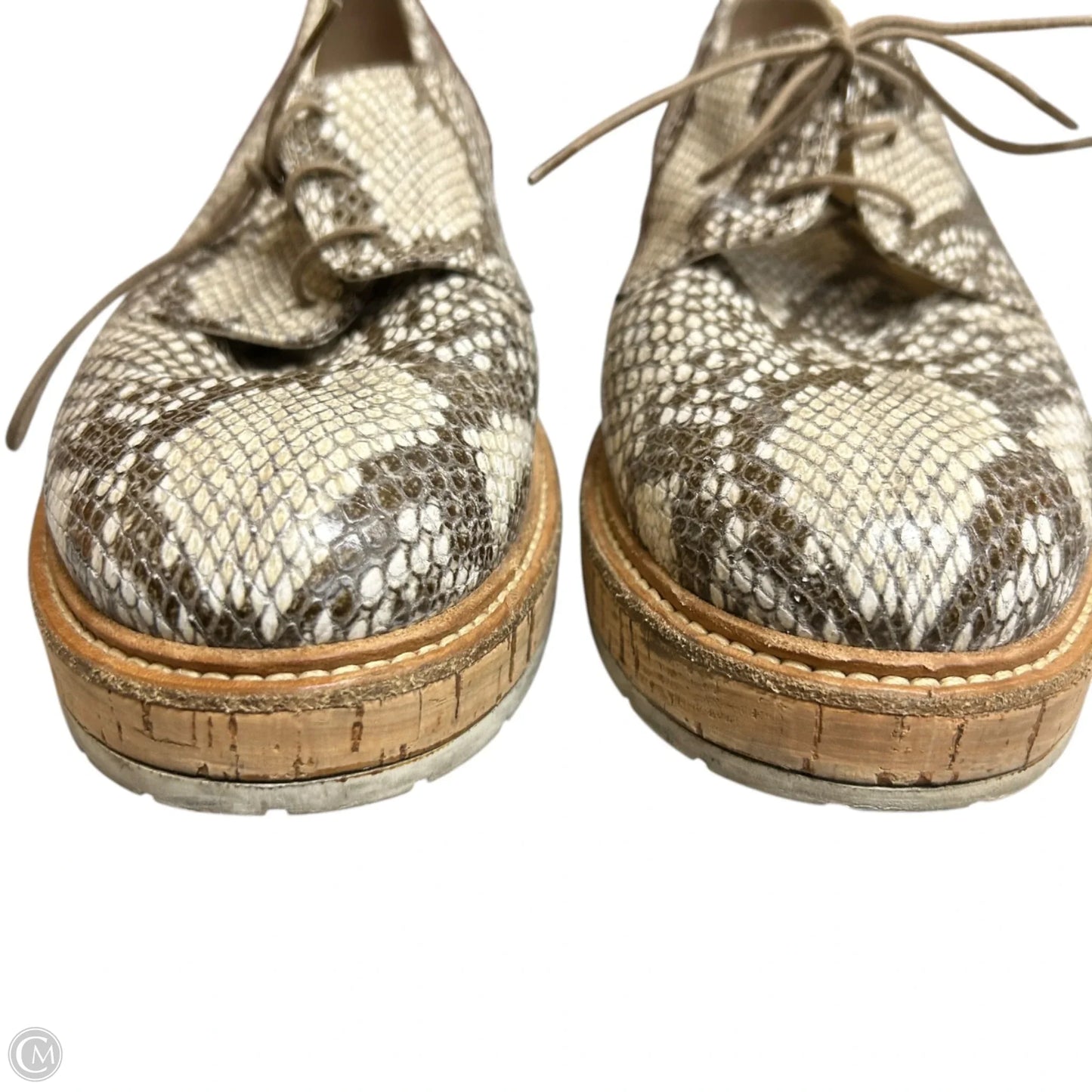 Shoes Heels Platform By Agl In Snakeskin Print, Size: 10.5