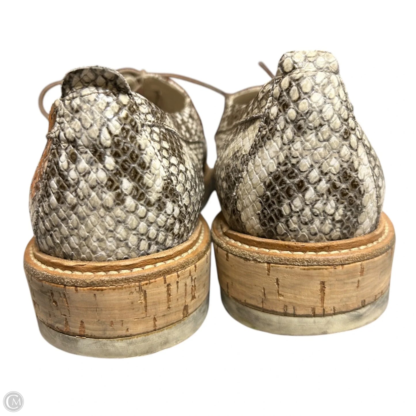 Shoes Heels Platform By Agl In Snakeskin Print, Size: 10.5