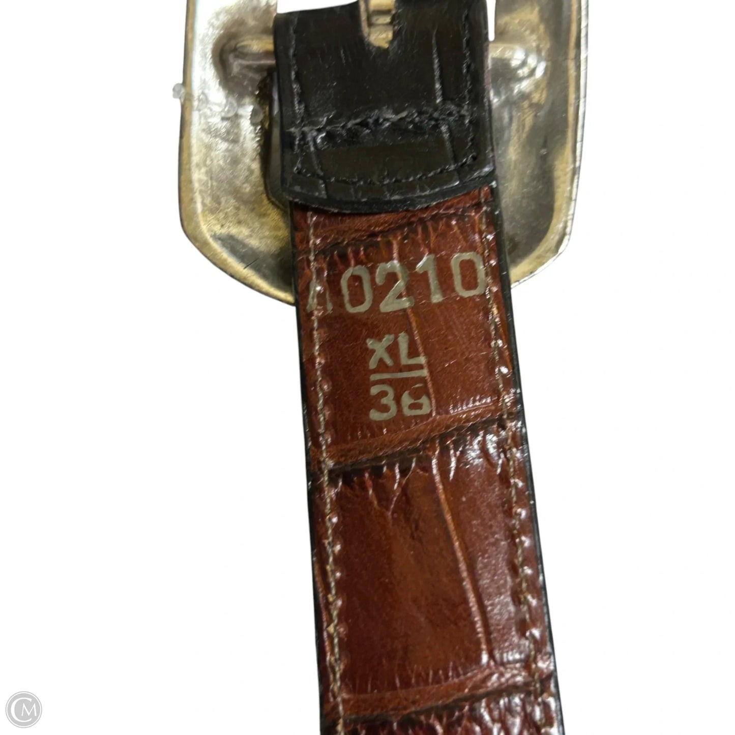 Belt By Brighton, Size: Large