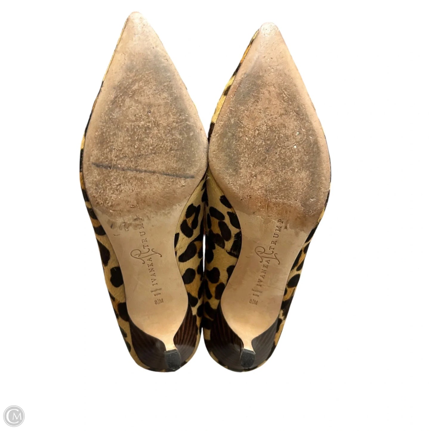 Shoes Heels Kitten By Ivanka Trump In Leopard Print, Size: 8.5