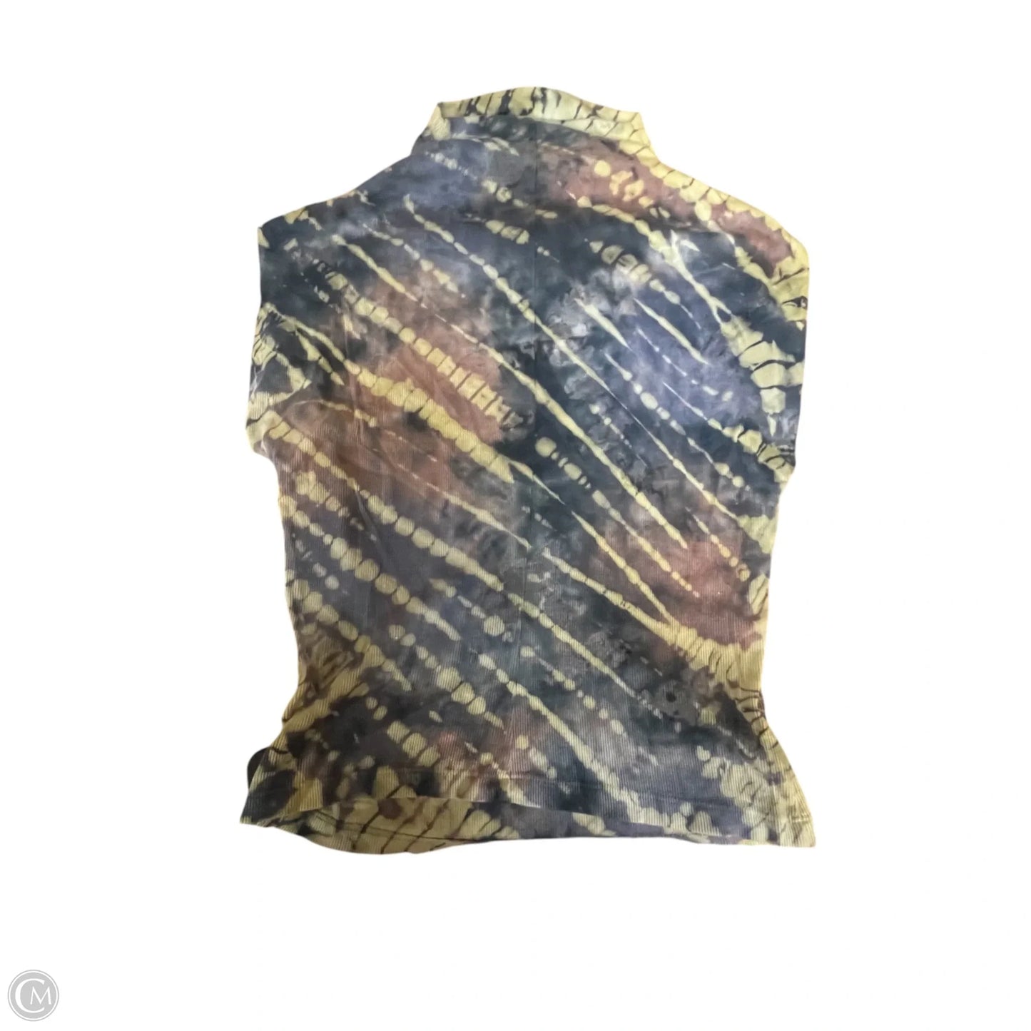 Top Sleeveless By Michael Stars In Blue & Green, Size: Xs