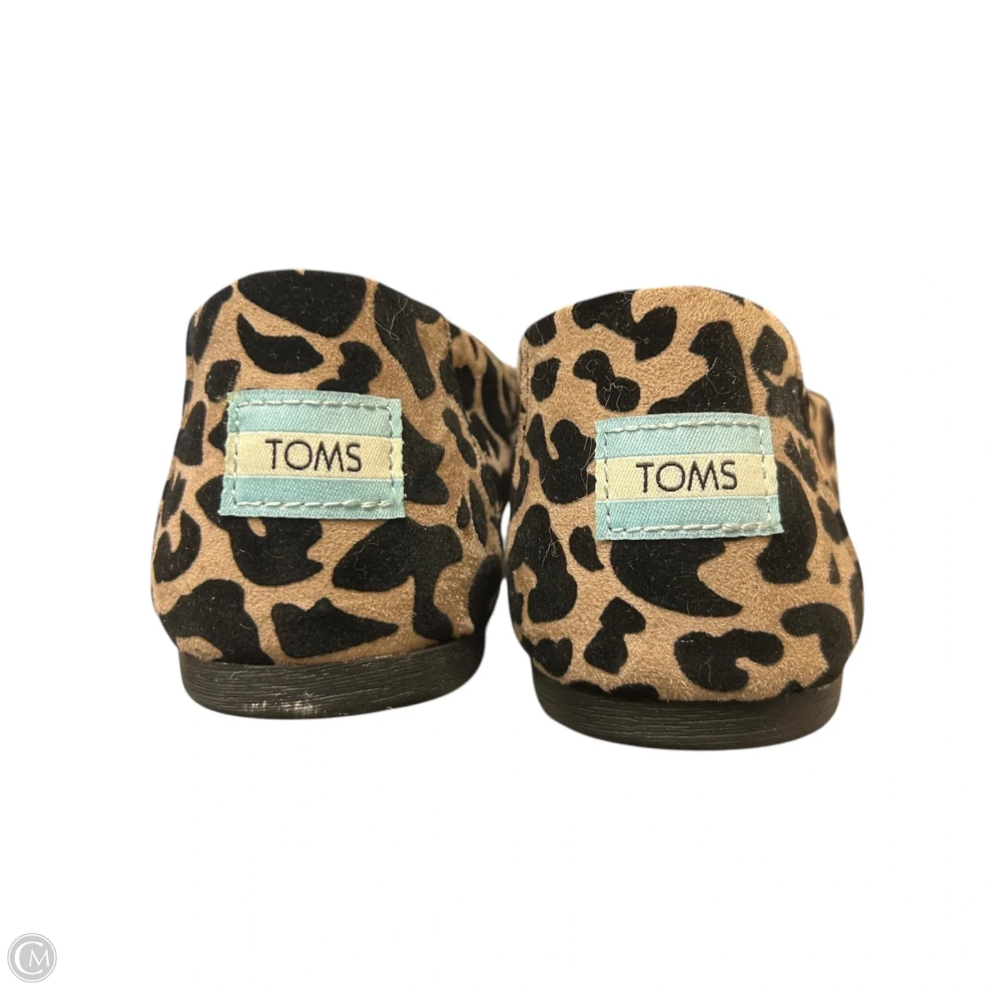 Shoes Flats By Toms In Leopard Print, Size: 9.5
