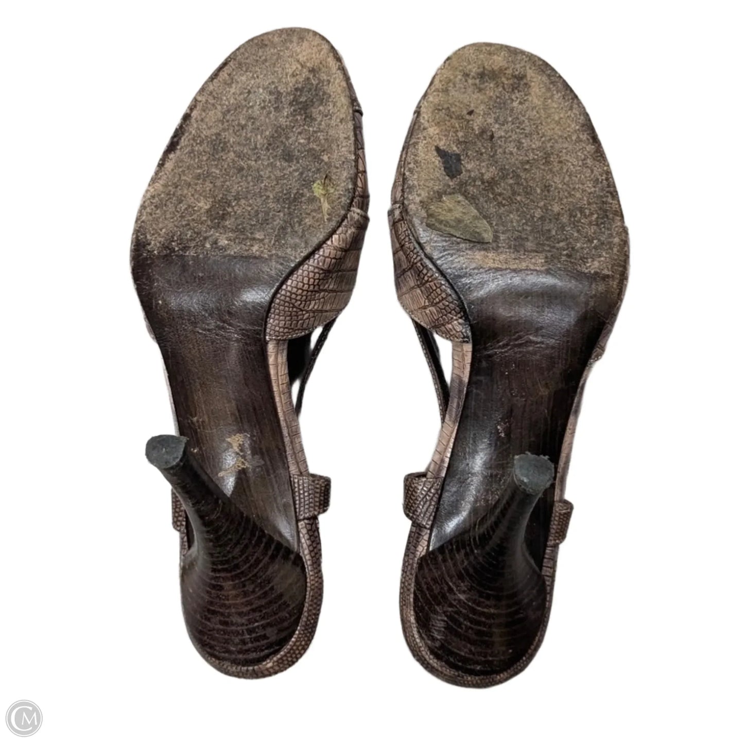 Shoes Designer By Stuart Weitzman In Brown, Size: 6