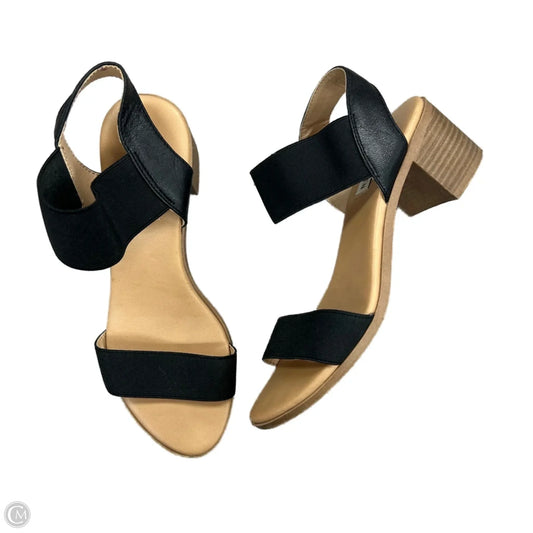 Shoes Heels Block By Steve Madden In Black, Size: 6.5