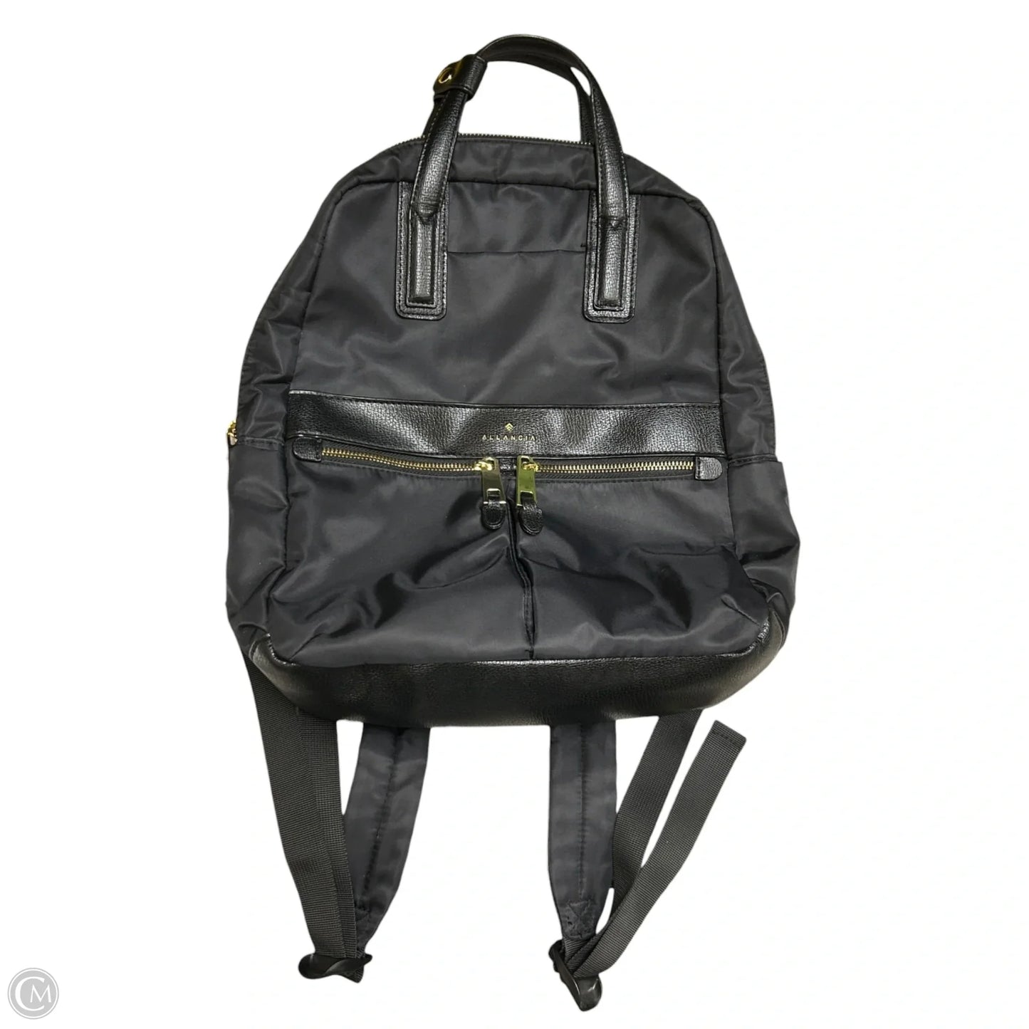 Backpack By Allancia, Size: Medium