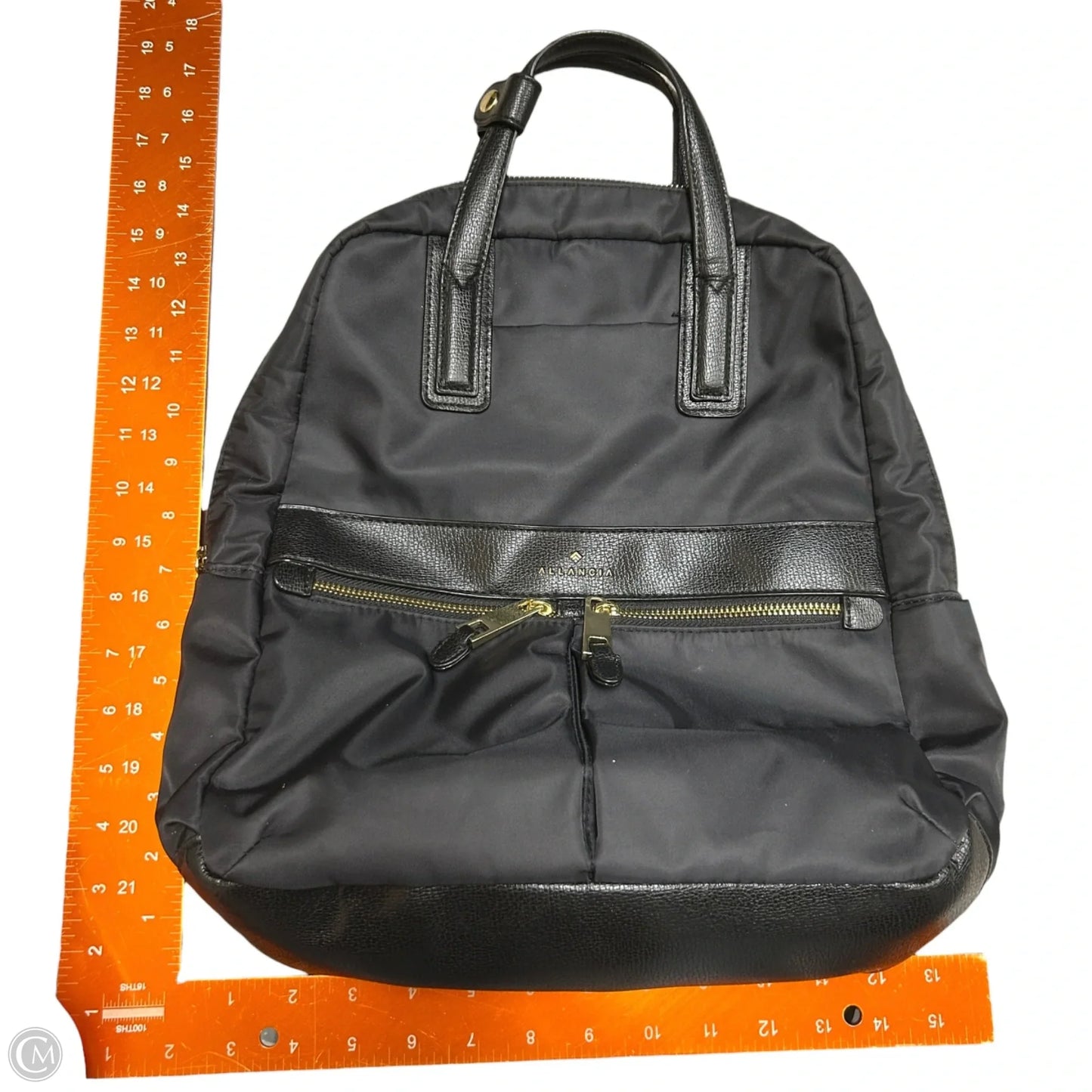 Backpack By Allancia, Size: Medium