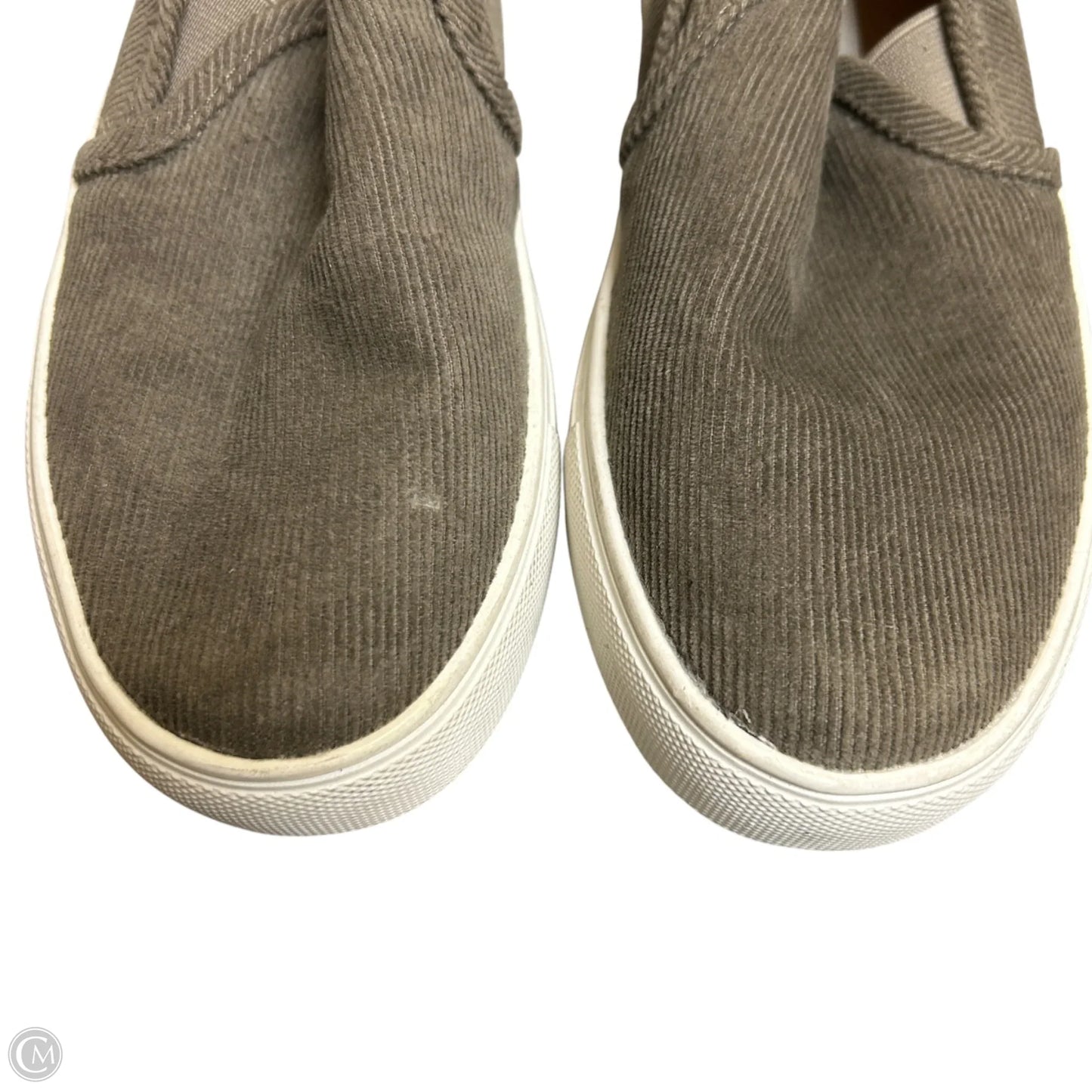 Shoes Sneakers By Steve Madden In Grey, Size: 6