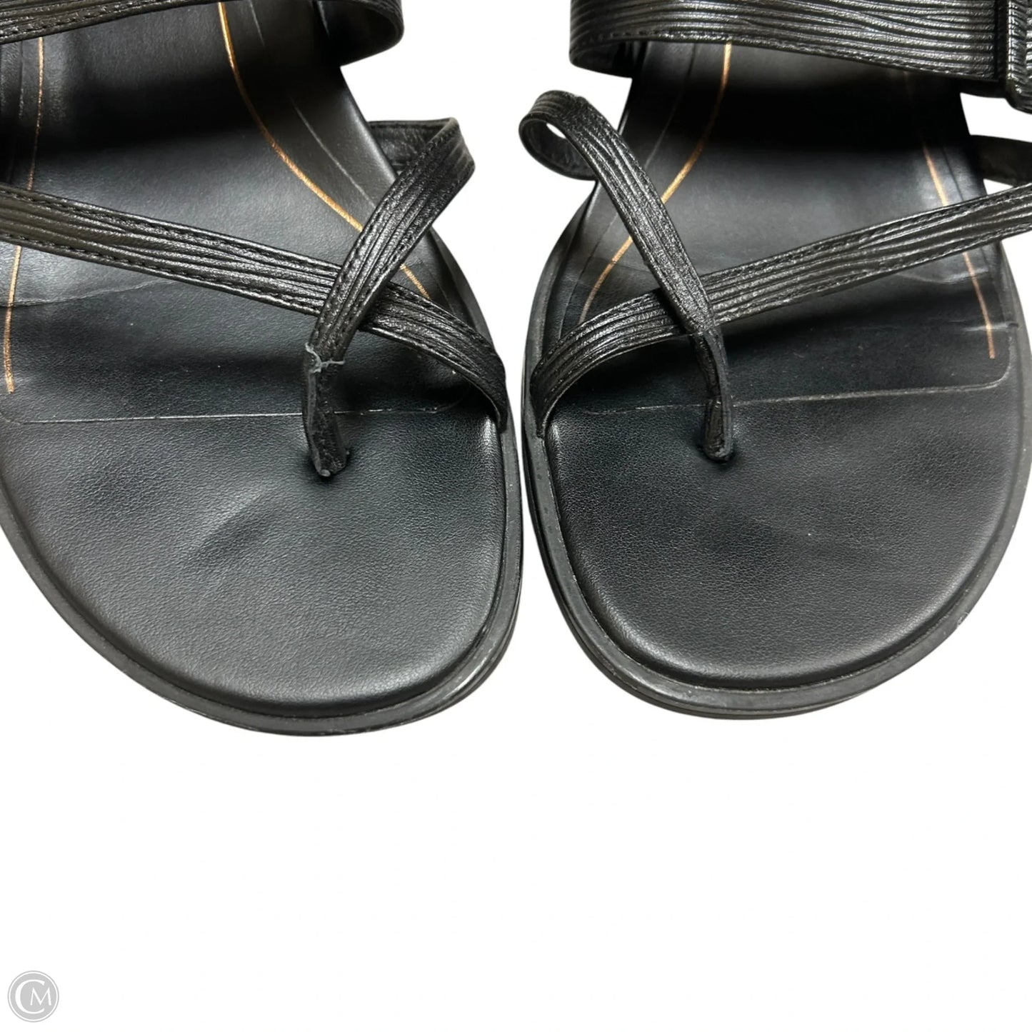 Sandals Flip Flops By Vionic In Black, Size: 9