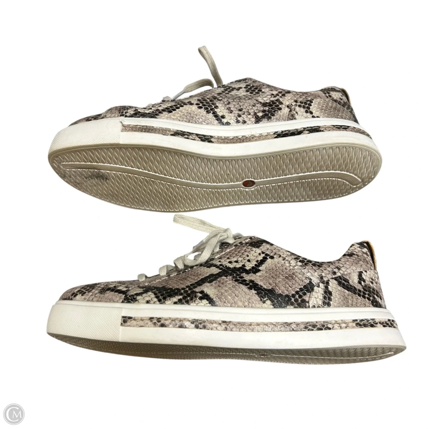 Shoes Sneakers By Clarks In Animal Print, Size: 6