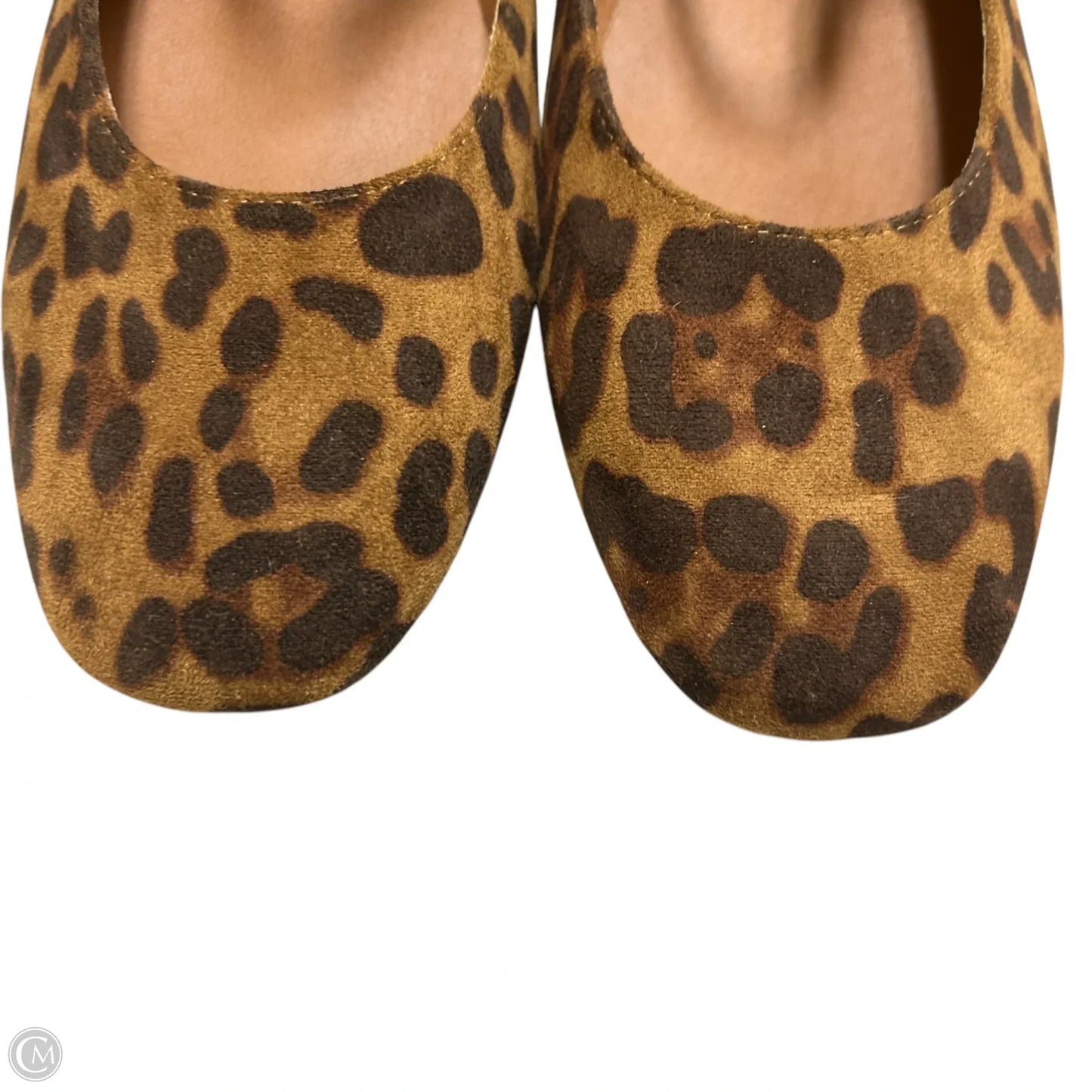 Shoes Flats By Cider In Animal Print, Size: 10.5