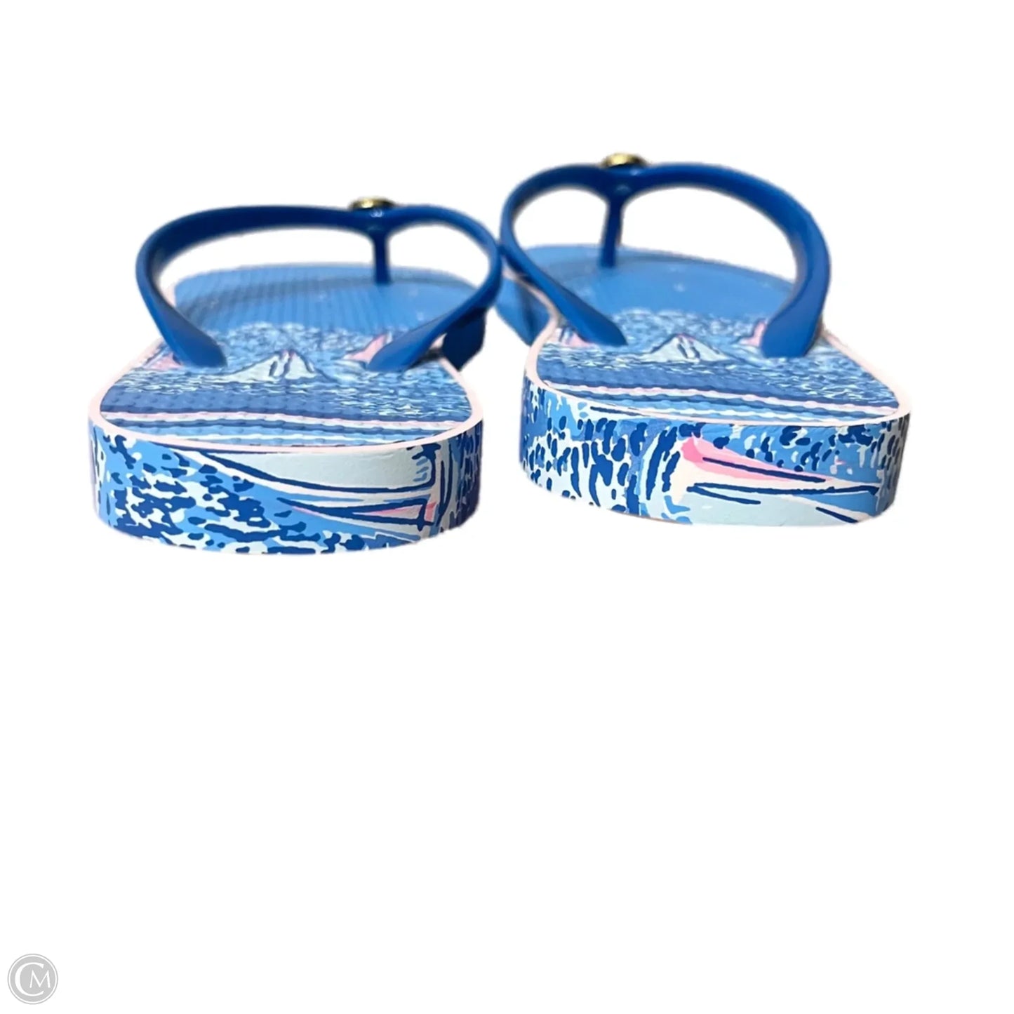 Shoes Designer By Lilly Pulitzer In Blue & Pink, Size: 6