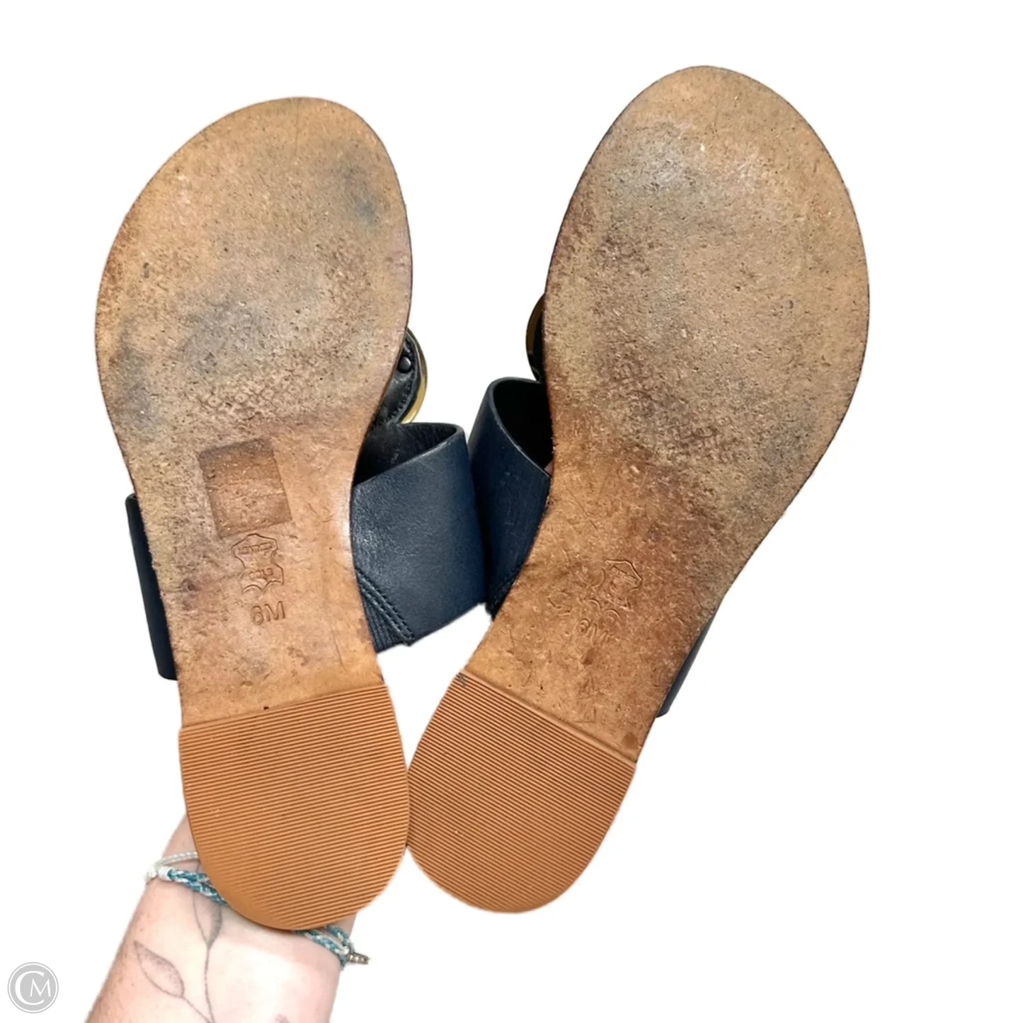 Sandals Designer By Tory Burch In Blue & Gold, Size: 6