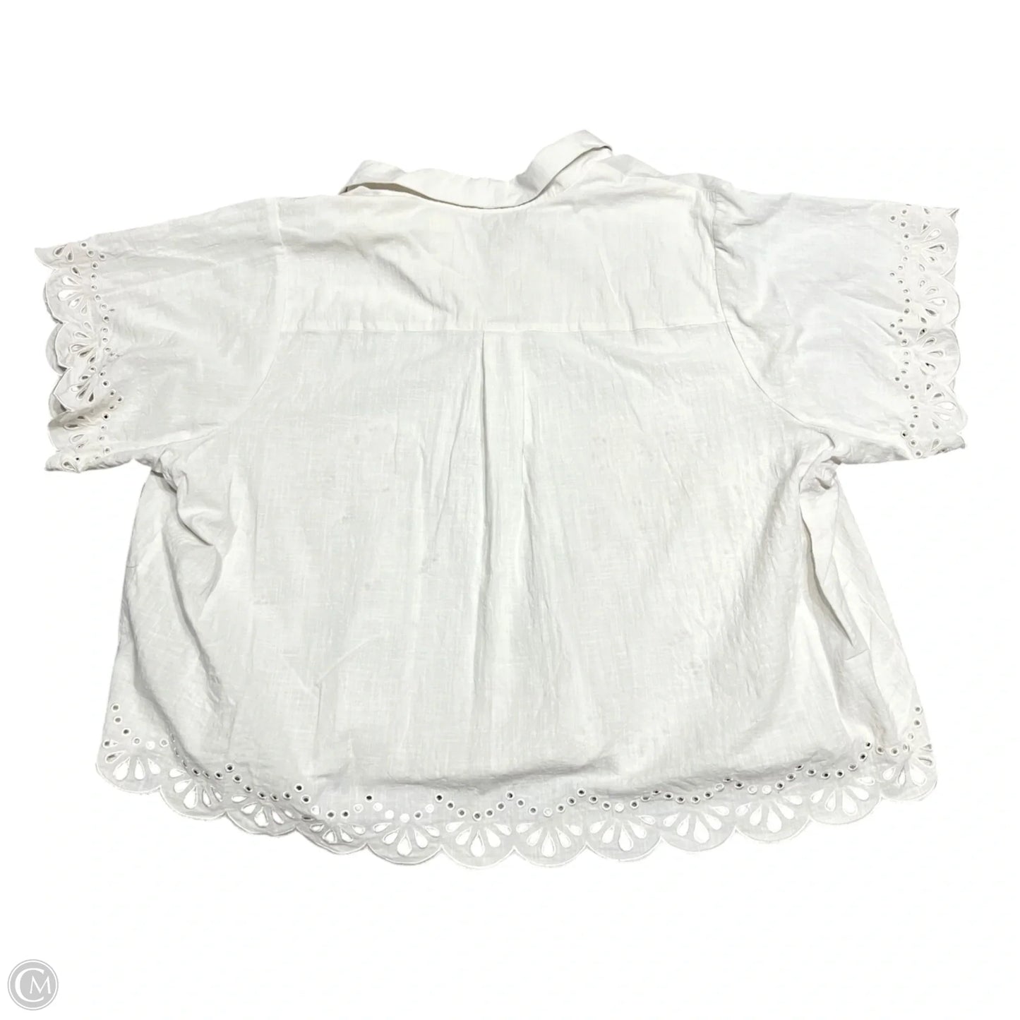 Top Short Sleeve By Torrid In Cream, Size: 4x