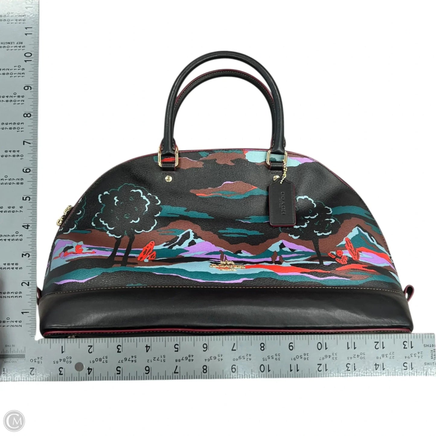 Handbag Designer By Coach, Size: Large